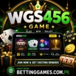 WGS456 Game