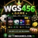 WGS456 Game