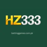 HZ333 Game